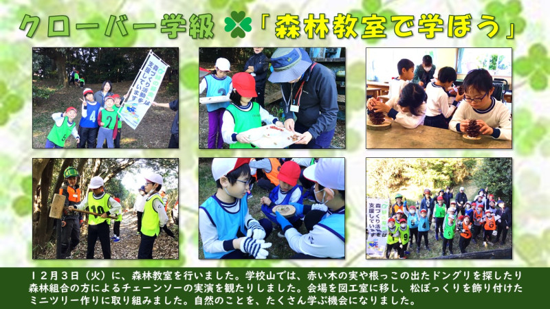 R6 11森林教室で学ぼう