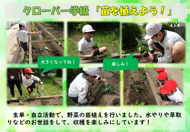 R7.5.13　苗を植えよう