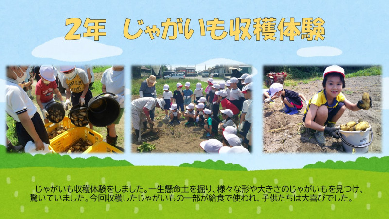 0618 じゃがいも収穫体験